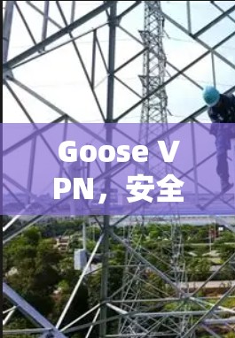 Goose VPN，安全可靠，轻松连接，为您的网络保驾护航！