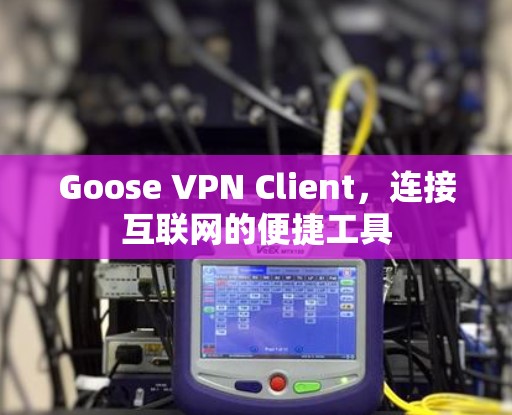 Goose VPN Client，连接互联网的便捷工具