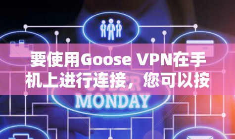 要使用Goose VPN在手机上进行连接，您可以按照以下步骤操作