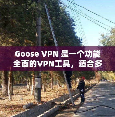 Goose VPN 是一个功能全面的VPN工具，适合多种用户需求，但也有其局限性。以下是其功能评测的详细分析