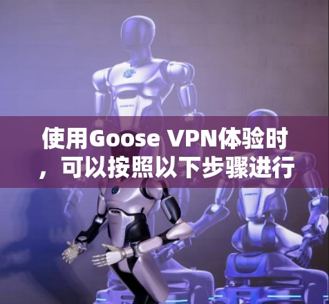 使用Goose VPN体验时，可以按照以下步骤进行配置和使用