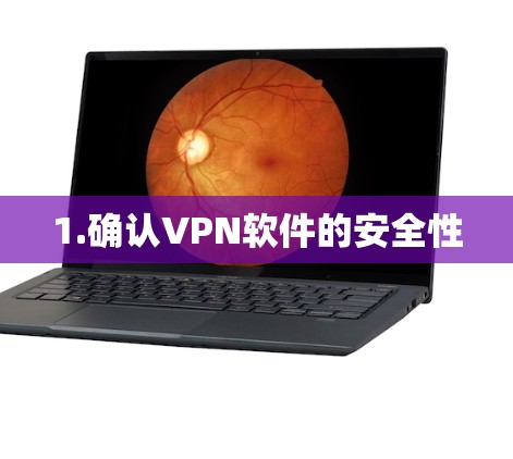 1.确认VPN软件的安全性