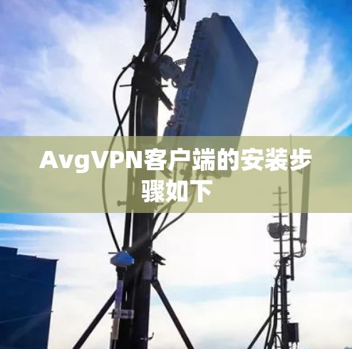 AvgVPN客户端的安装步骤如下