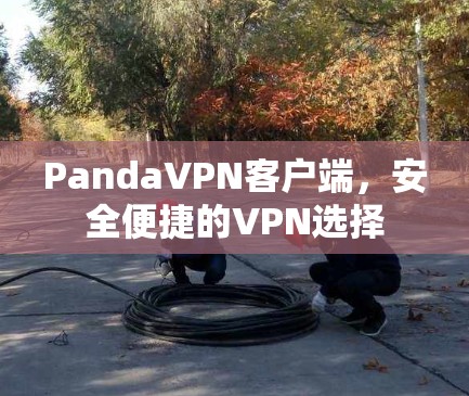 PandaVPN客户端，安全便捷的VPN选择