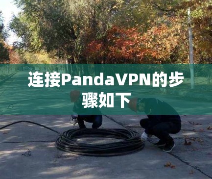 连接PandaVPN的步骤如下