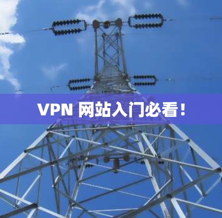 VPN 网站入门必看！