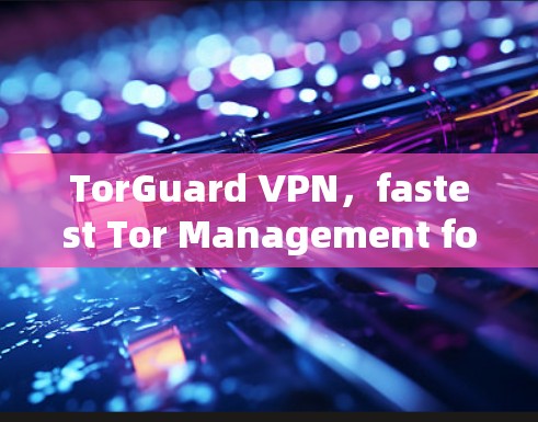 TorGuard VPN，fastest Tor Management for Business!