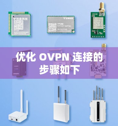 优化 OVPN 连接的步骤如下