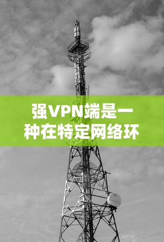 强VPN端是一种在特定网络环境下运行的高安全性和高性能的VPN设备，通常用于在高速网络或有特殊配置的服务器上使用。这些设备具备以下特点