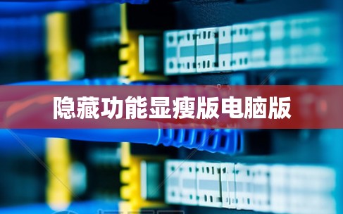 隐藏功能显瘦版电脑版