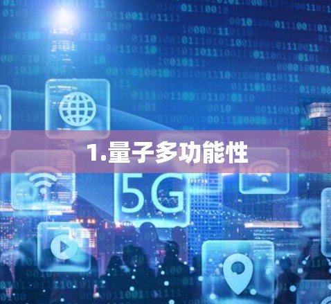 1.量子多功能性