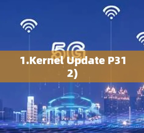 1.Kernel Update P312)