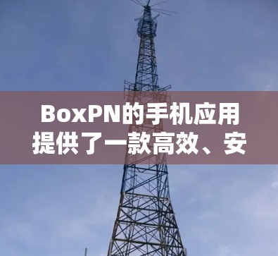 BoxPN的手机应用提供了一款高效、安全的VPN工具，适合需要复杂加密和访问控制的用户，尤其是移动设备和企业用户。以下是详细的总结