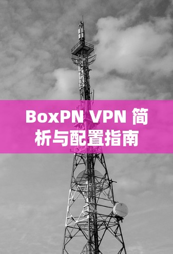 BoxPN VPN 简析与配置指南