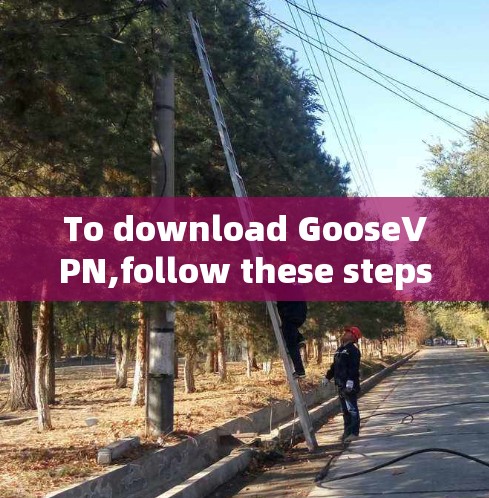To download GooseVPN,follow these steps: