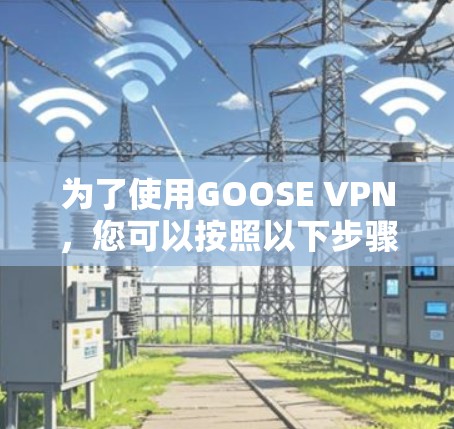 为了使用GOOSE VPN，您可以按照以下步骤操作