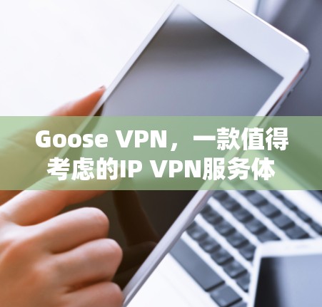 Goose VPN，一款值得考虑的IP VPN服务体验评测