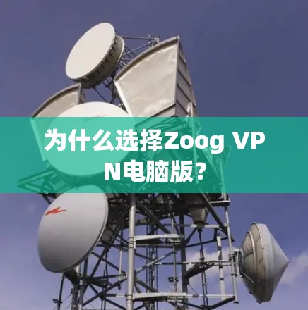 为什么选择Zoog VPN电脑版？