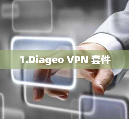 1.Diageo VPN 套件