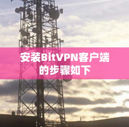 安装BitVPN客户端的步骤如下