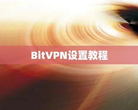 BitVPN设置教程