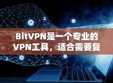BitVPN是一个专业的VPN工具，适合需要复杂配置和多功能的用户。以下是对BitVPN的详细介绍和使用指南