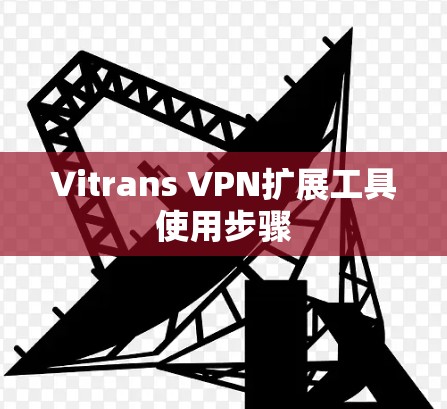 Vitrans VPN扩展工具使用步骤