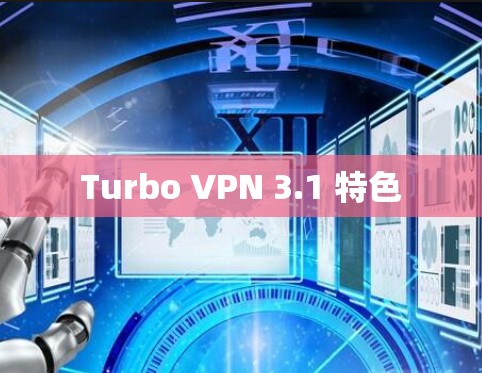 Turbo VPN 3.1 特色