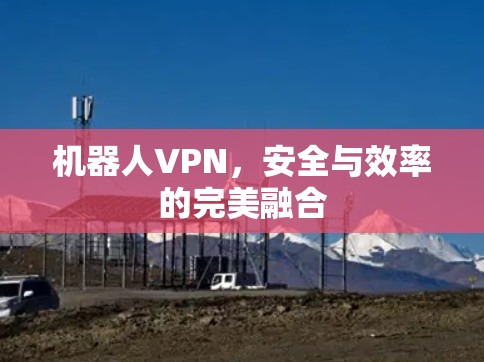 机器人VPN，安全与效率的完美融合