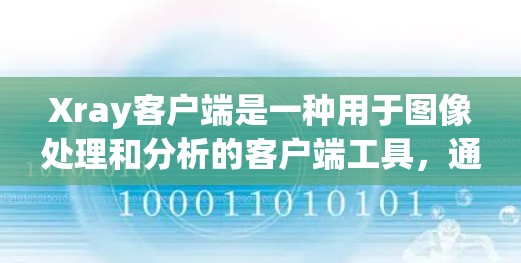 Xray客户端是一种用于图像处理和分析的客户端工具，通常与Xray API（例如Xray AI的图像处理API）相关。它可以帮助用户从客户端上使用Xray API进行图像分析、编辑、生成等操作