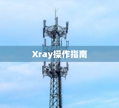 Xray操作指南