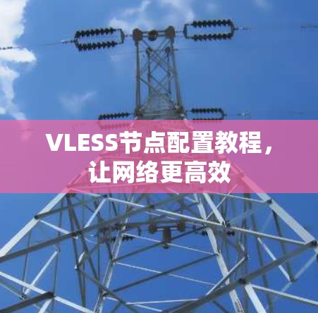VLESS节点配置教程，让网络更高效