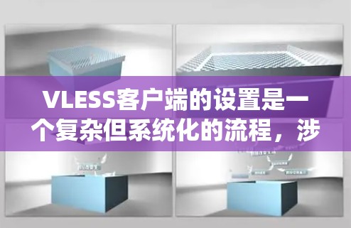 VLESS客户端的设置是一个复杂但系统化的流程，涉及多个部分和配置。以下是一个详细且结构化的设置指南，涵盖从配置文件到网络连接的各个方面