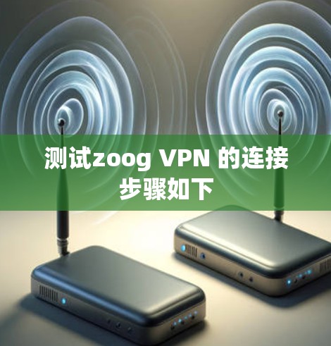 测试zoog VPN 的连接步骤如下
