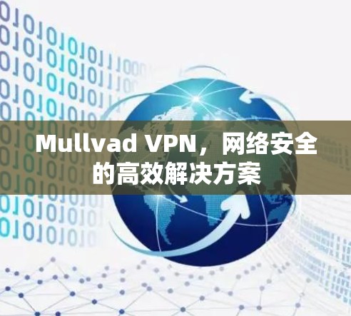 Mullvad VPN，网络安全的高效解决方案