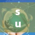 surfshark VPN智能DNS解析与使用指南