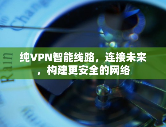 纯VPN智能线路，连接未来，构建更安全的网络