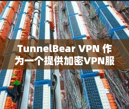 TunnelBear VPN 作为一个提供加密VPN服务的开源项目，其速度表现相对中等偏下，主要取决于设备和网络环境。以下是关于其速度的详细分析
