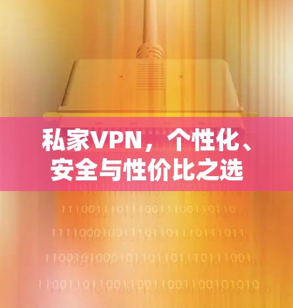 私家VPN，个性化、安全与性价比之选