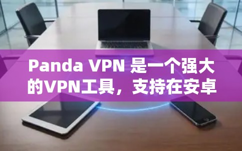 Panda VPN 是一个强大的VPN工具，支持在安卓设备上进行VPN连接。以下是使用Panda VPN在安卓设备上进行VPN连接的步骤