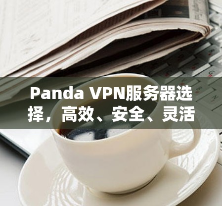 Panda VPN服务器选择，高效、安全、灵活的解决方案