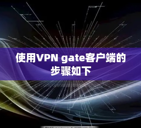 使用VPN gate客户端的步骤如下