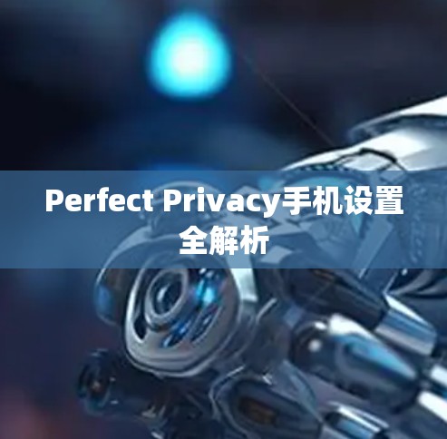 Perfect Privacy手机设置全解析