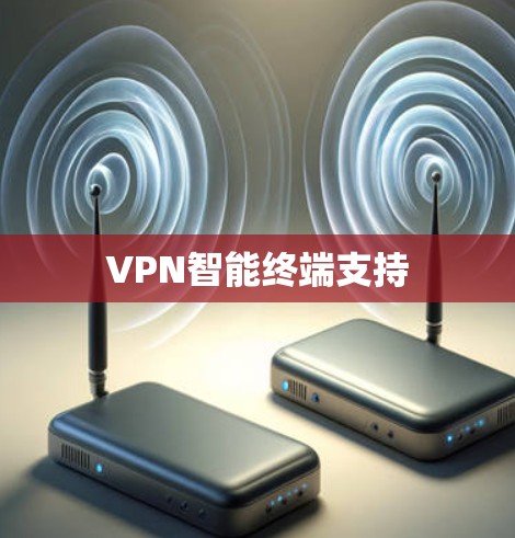VPN智能终端支持