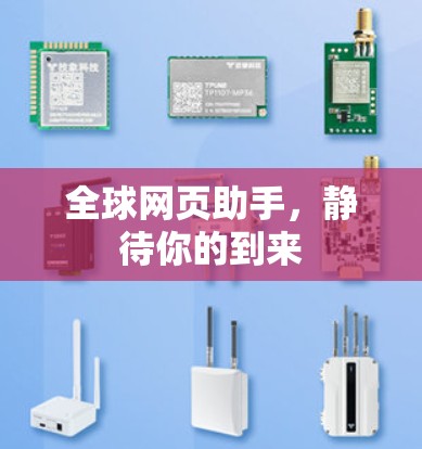 全球网页助手，静待你的到来