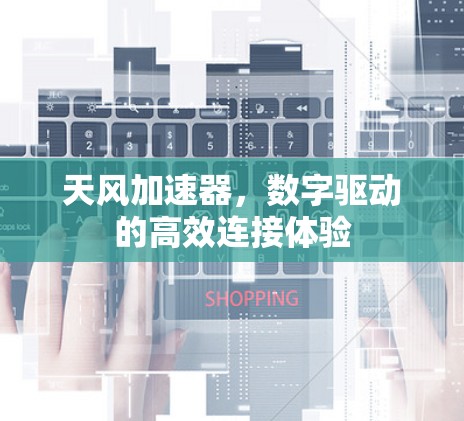 天风加速器，数字驱动的高效连接体验