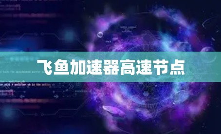 飞鱼加速器高速节点