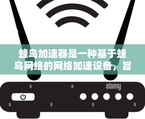 蜂鸟加速器是一种基于蜂鸟网络的网络加速设备，旨在提供高速网络连接。以下是对蜂鸟加速器的详细分析
