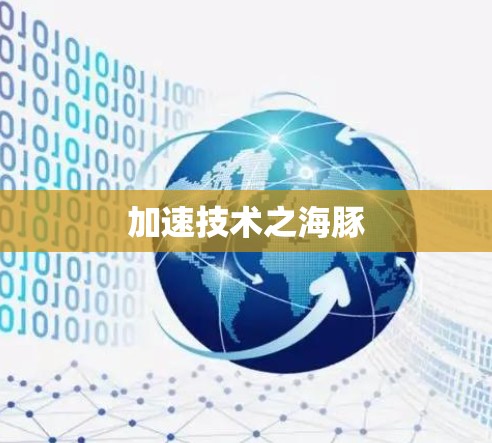 加速技术之海豚
