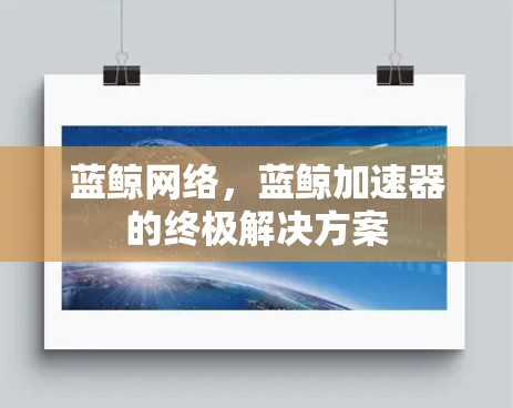 蓝鲸网络，蓝鲸加速器的终极解决方案